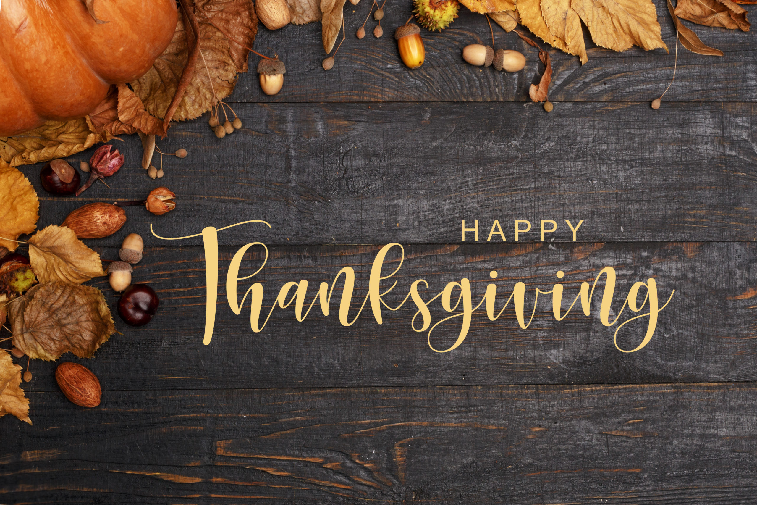 Happy thanksgiving photos free